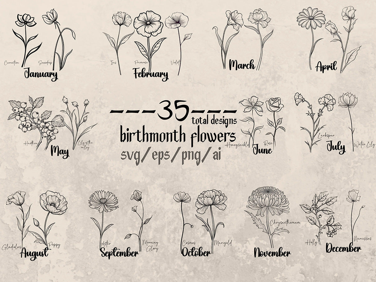Chrysanthemum SVG, Chrysanthemum Flower Hand Drawn Clipart, November Birth  Month Flower, Birthday Flower, Cricut Cut File, Floral Line Art 