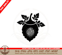 Acorn SVG PNG JPG AI PDF DXF EPS and WebP - Digital Download