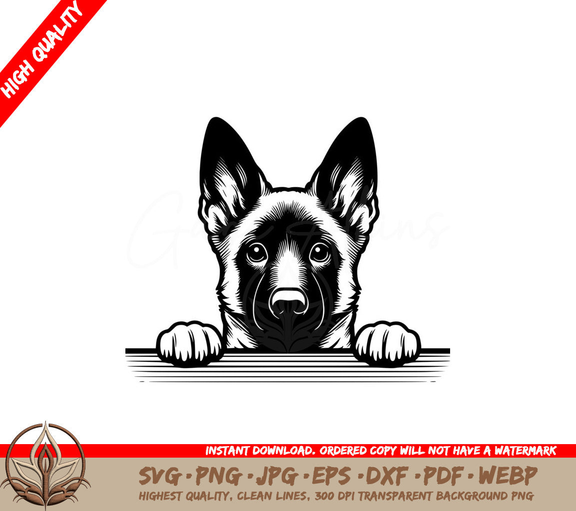 Adorable Belgian Malinois Peek SVG