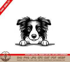 Adorable Border Collie Peek SVG - Digital Download