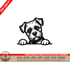 Adorable Border Terrier SVG