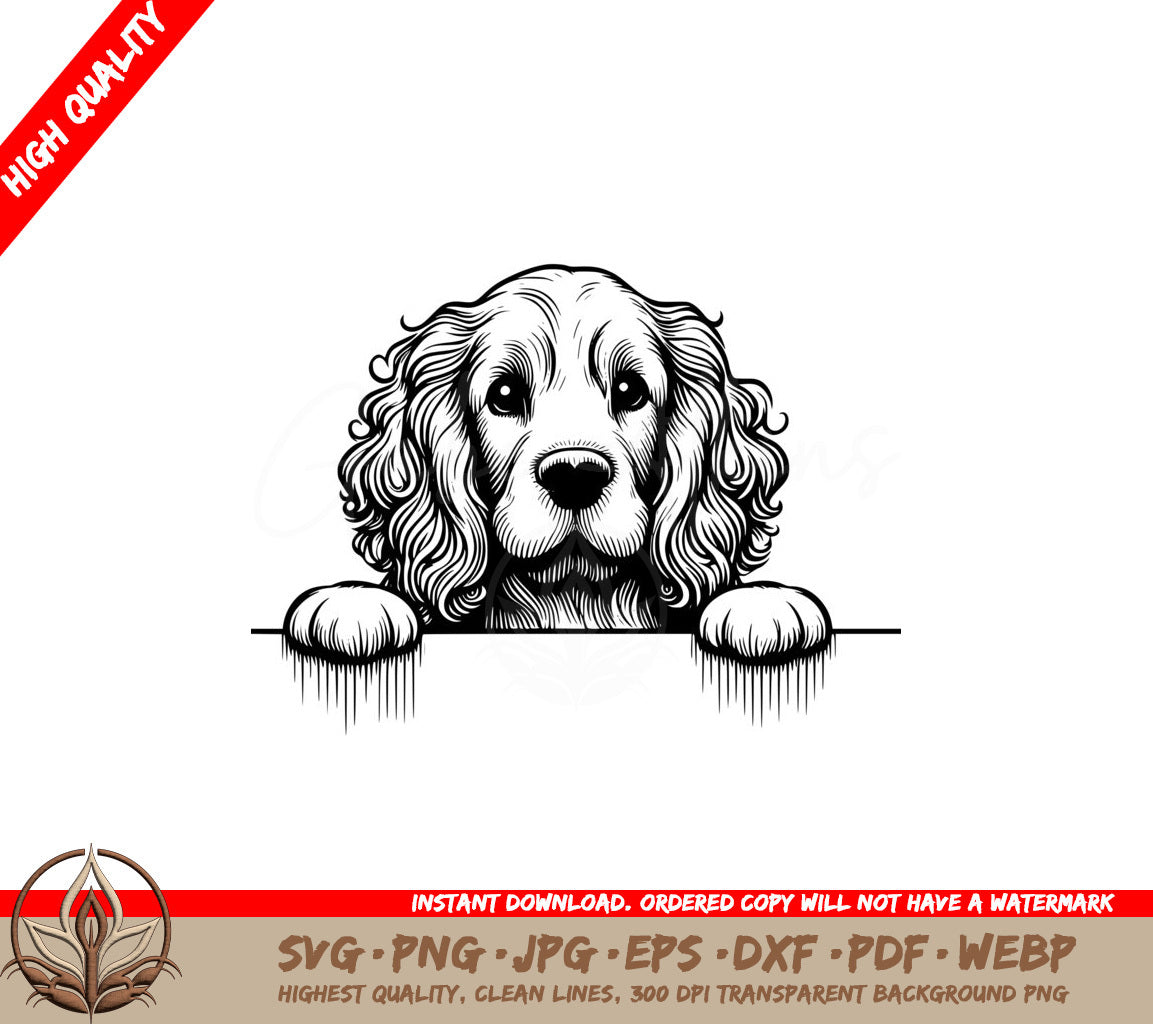 Adorable Clumber Spaniel SVG, PNG, JPG, AI, PDF, DXF, EPS and WebP Digital Download