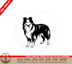 Adorable Collie SVG PNG JPG AI PDF DXF EPS and WebP - Digital Download
