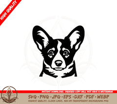 Adorable Corgi Pup SVG