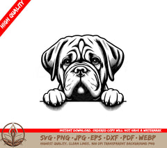 Adorable Dogues De Bordeaux SVG, PNG, JPG, AI, PDF, DXF, EPS and WebP Digital Cut File