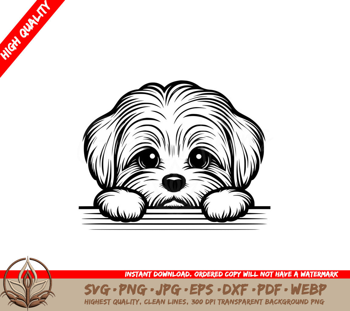 Adorable Maltese SVG, PNG, JPG, AI, PDF, DXF, EPS and WebP - Digital Download