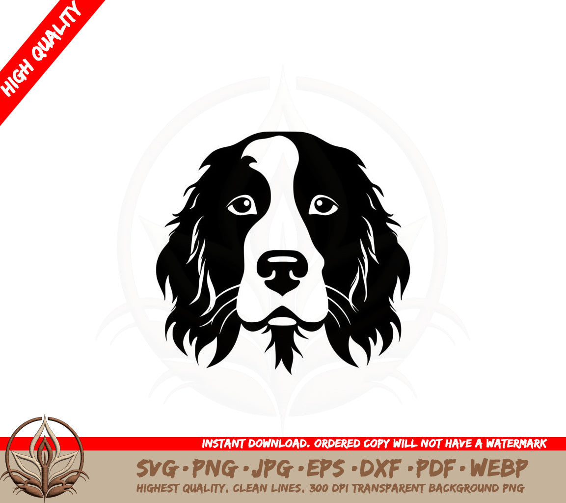 Adorable Springer Spaniel SVG