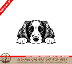Adorable Springer Spaniel Peeking SVG