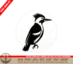 Adult Woodpecker