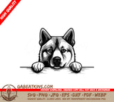 Husky Dog Peeking Over Table SVG - Akita Paws SVG