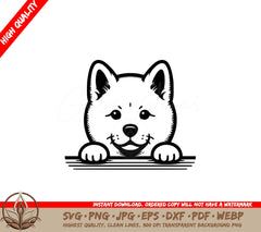 Alert Akita Inu Peeking SVG, PNG, JPG, AI, PDF, DXF, EPS WebP - Digital Download