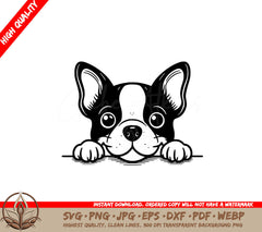 Alert Boston Terrier Watcher SVG