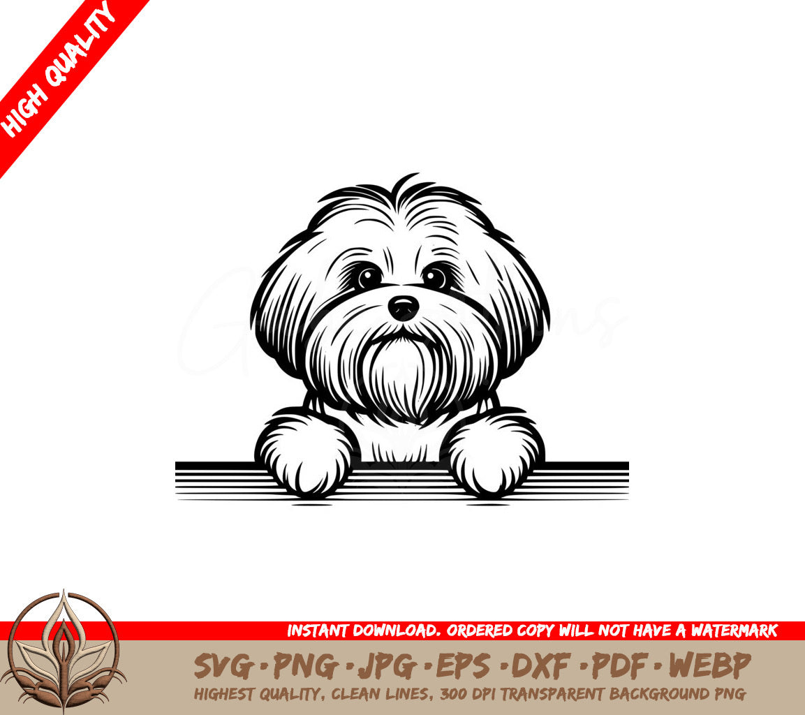 Alert Coton De Tulear SVG