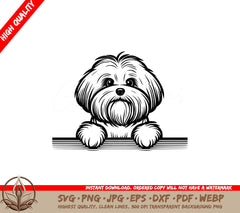 Alert Coton De Tulear SVG