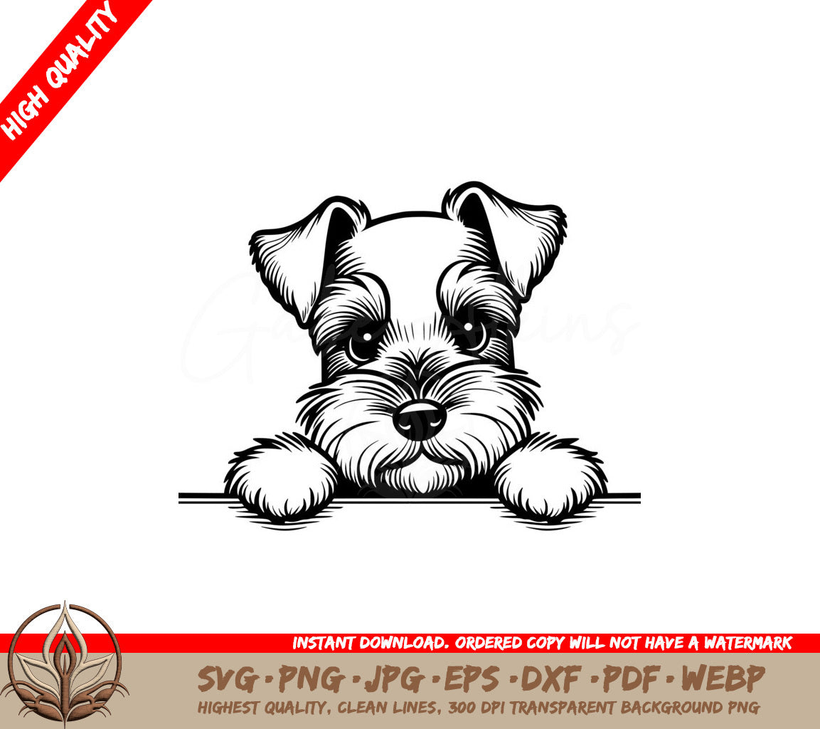Alert Miniature Schnauzer SVG