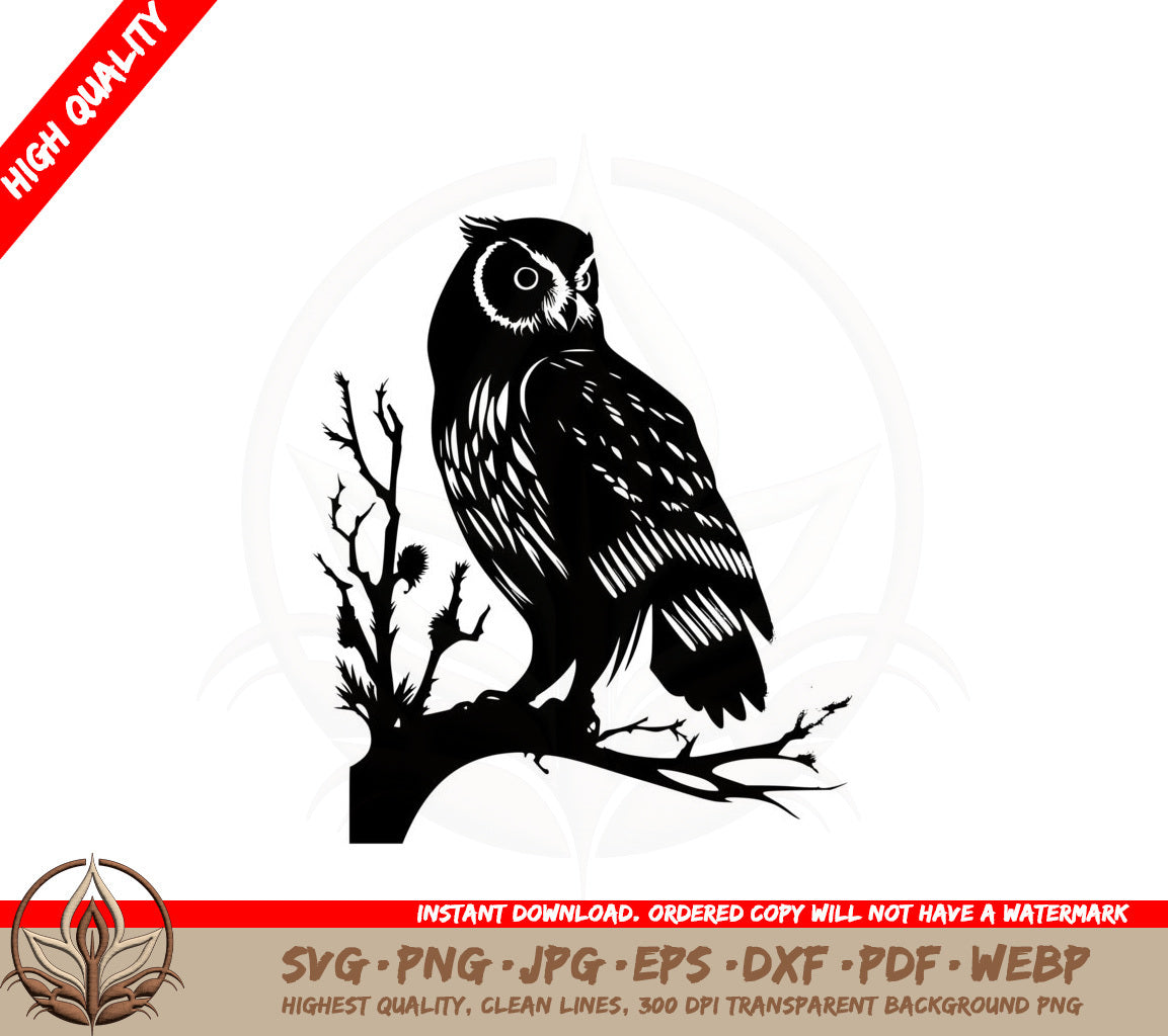 Alert Owl SVG PNG JPG AI PDF DXF EPS and WebP Digital Download