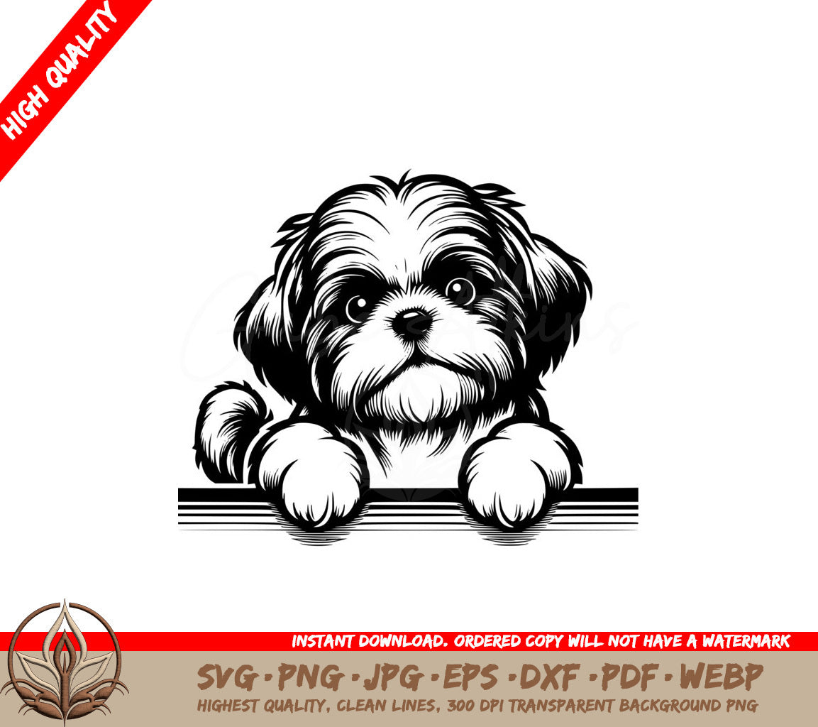 Alert Shih Tzu SVG, PNG, JPG, AI, PDF, DXF, EPS, WebP - Digital Download