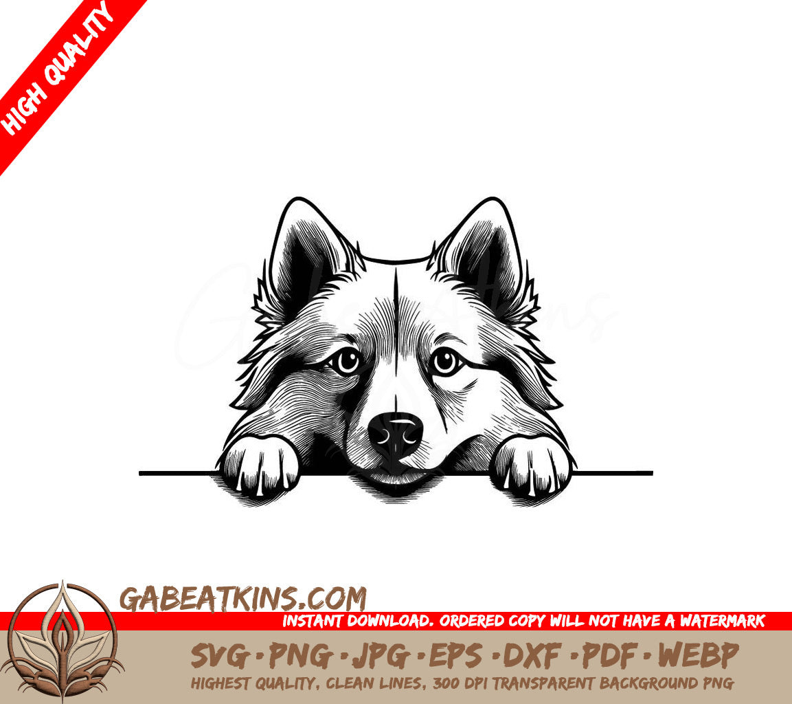 American Eskimo Dog Peeking Over Wall - SVG SVG