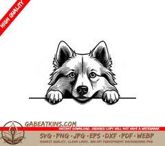 American Eskimo Dog Peeking Over Wall - SVG SVG