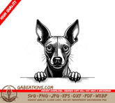 American Hairless Terrier Looking Over Wall -  SVG SVG