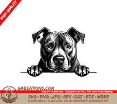 American Staffordshire Terrier Peeking Over Wall - SVG SVG