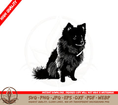 American Eskimo SVG PNG JPG AI PDF DXF EPS and WebP Digital Download