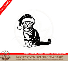 American Shorthair Santa Cat SVG