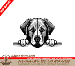 Anatolian Shepherd Dog Peeking Over Wall - SVG SVG