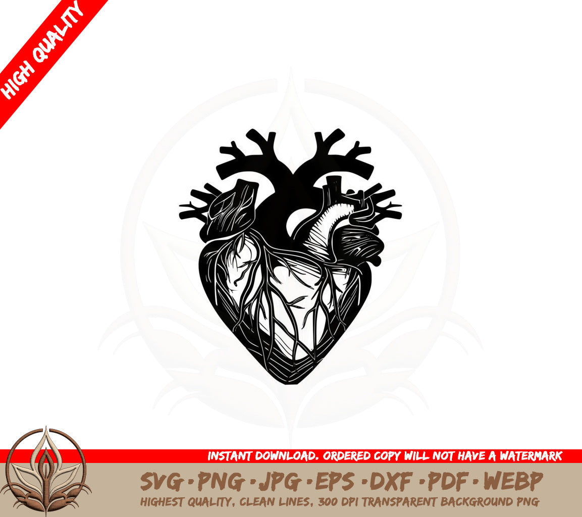 Anatomical Heart SVG PNG JPG AI PDF DXF EPS and WebP Digital Download