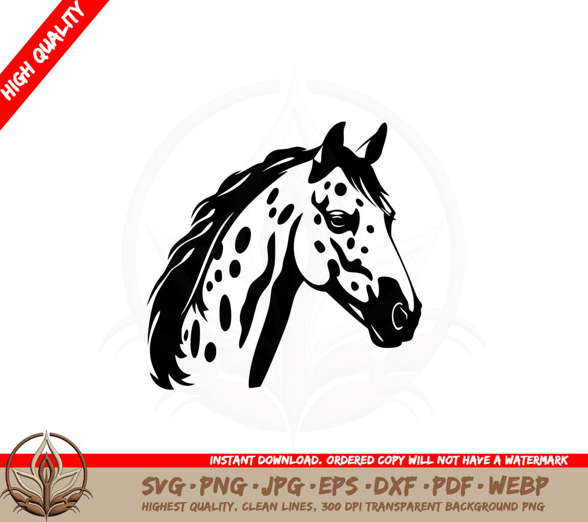 Appaloosa Majesty SVG