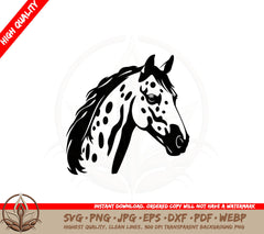 Appaloosa Majesty SVG