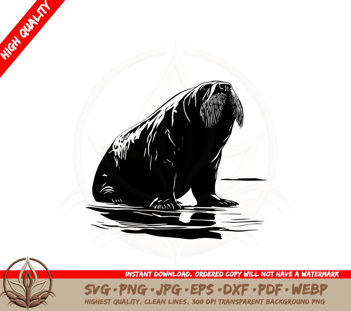Arctic Walrus SVG PNG JPG AI PDF DXF EPS WebP - Digital Download