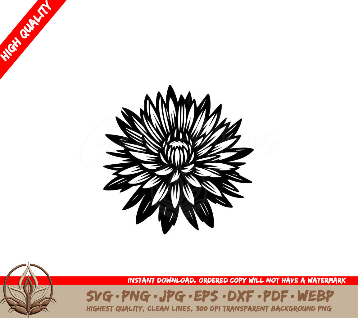 Aster Flower Power SVG
