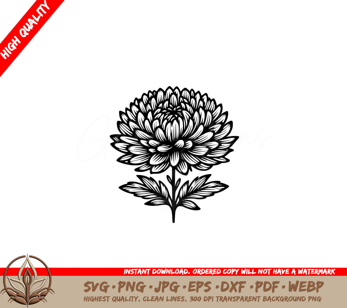 Aster Petal Radiance SVG