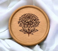 Aster Petal Radiance