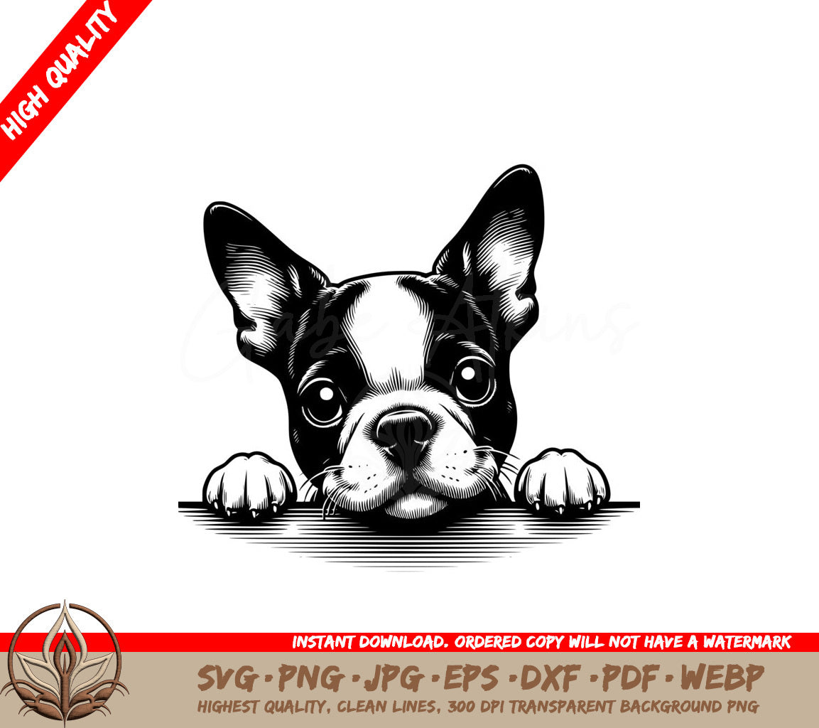 Attentive Boston Terrier Watch SVG Cut File Download