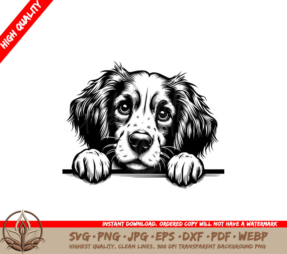 Attentive Brittany Spaniel SVG