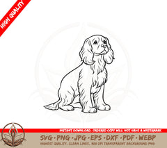 Attentive Cocker Spaniel SVG