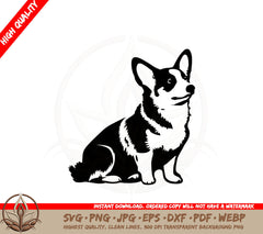 Attentive Corgi SVG