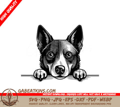 Australian Cattle Dog Peeking Over Wall SVG - Drawing SVG