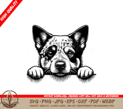 Australian Cattle Gaze SVG