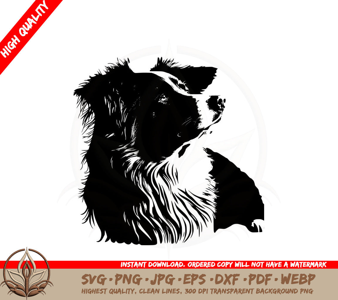 Australian Shepherd SVG - Digital Download