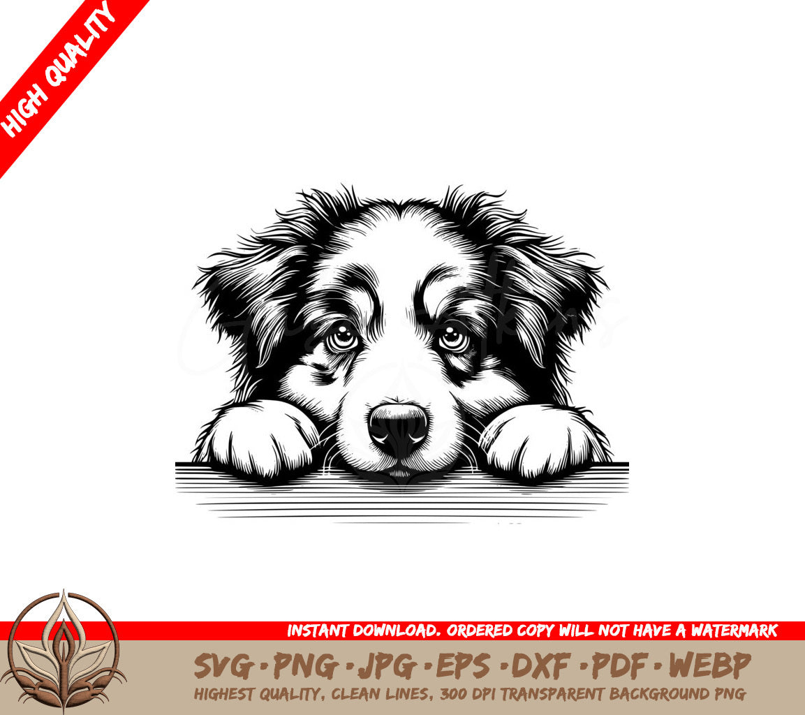 Australian Shepherd Gentle Rest SVG PNG JPG AI PDF DXF EPS WebP Digital Download
