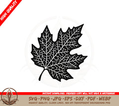 Autumn Leaf Detail SVG