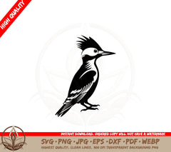Baby Woodpecker SVG PNG JPG AI PDF DXF EPS and WebP - Digital Download
