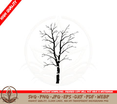 Bare Birch Tree Cut File SVG