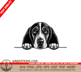 Basset Hound Peeking Over Wall SVG -  Illustration SVG