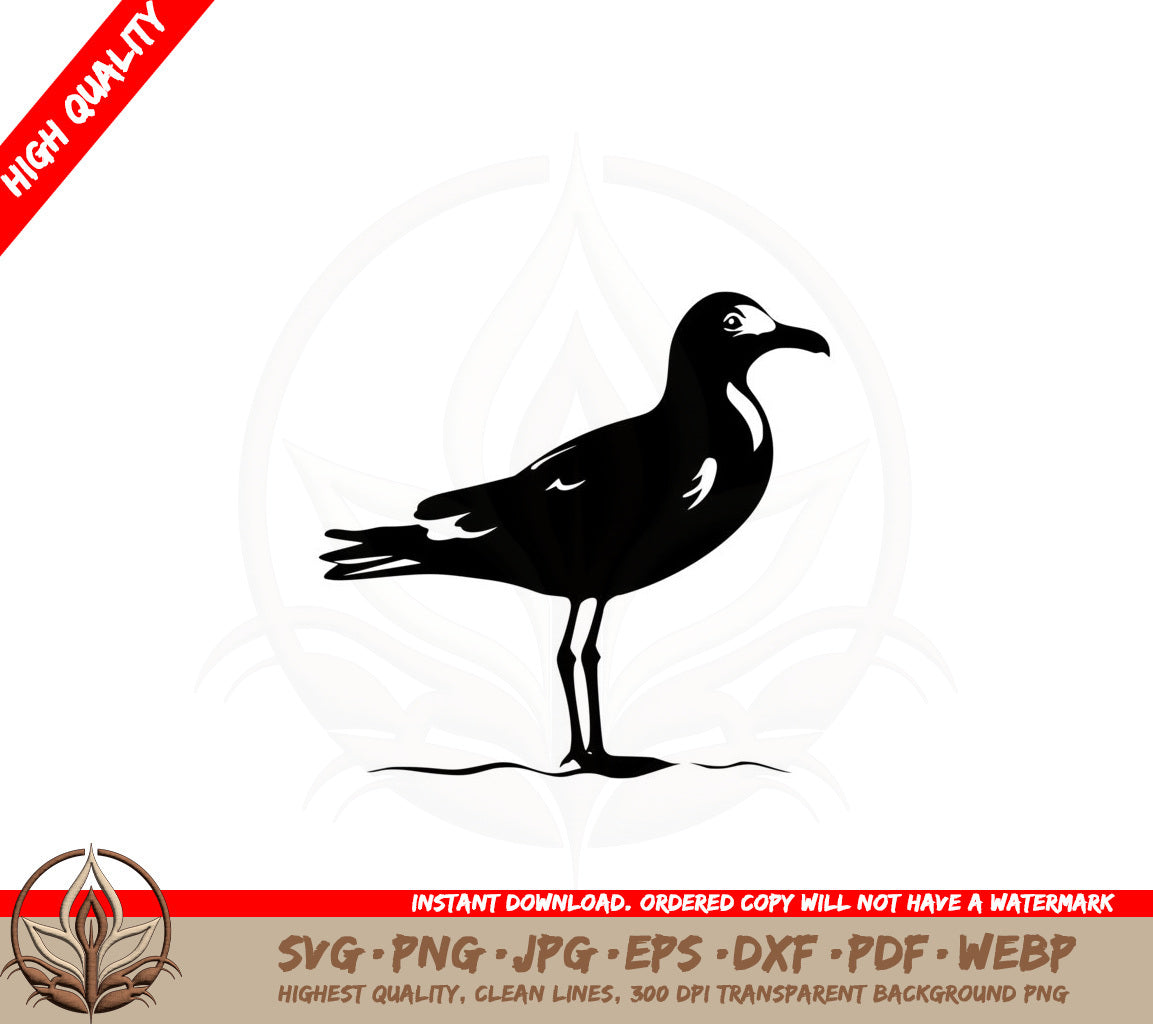 Beach Seagull SVG - Digital Download