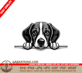 Beagle Peeking Over Wall SVG -  Drawing SVG