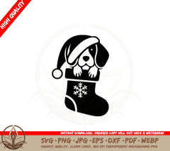 Beagle Christmas Surprise SVG PNG JPG AI PDF DXF EPS and WebP - Digital Download